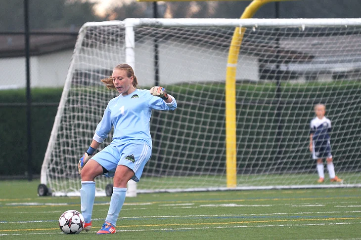 登录器
